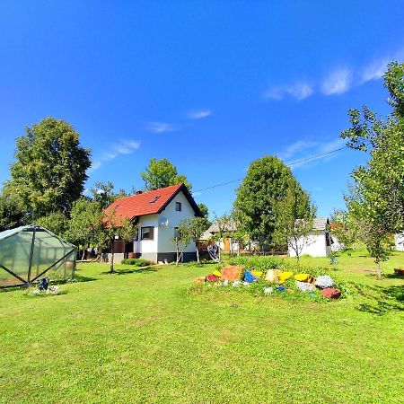 Apartments Eco Forest Resort Rakovica Exteriör bild