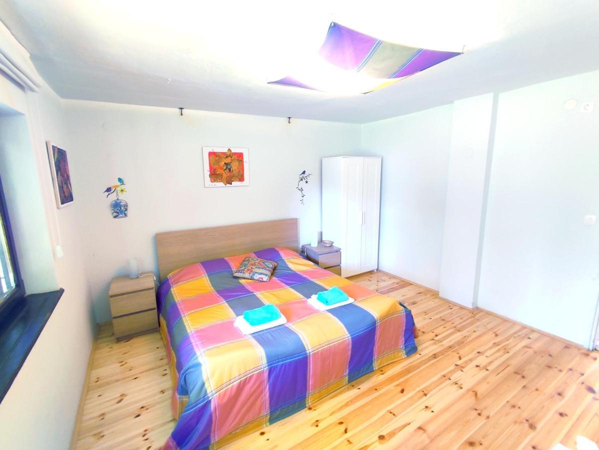 Apartments Eco Forest Resort Rakovica Exteriör bild