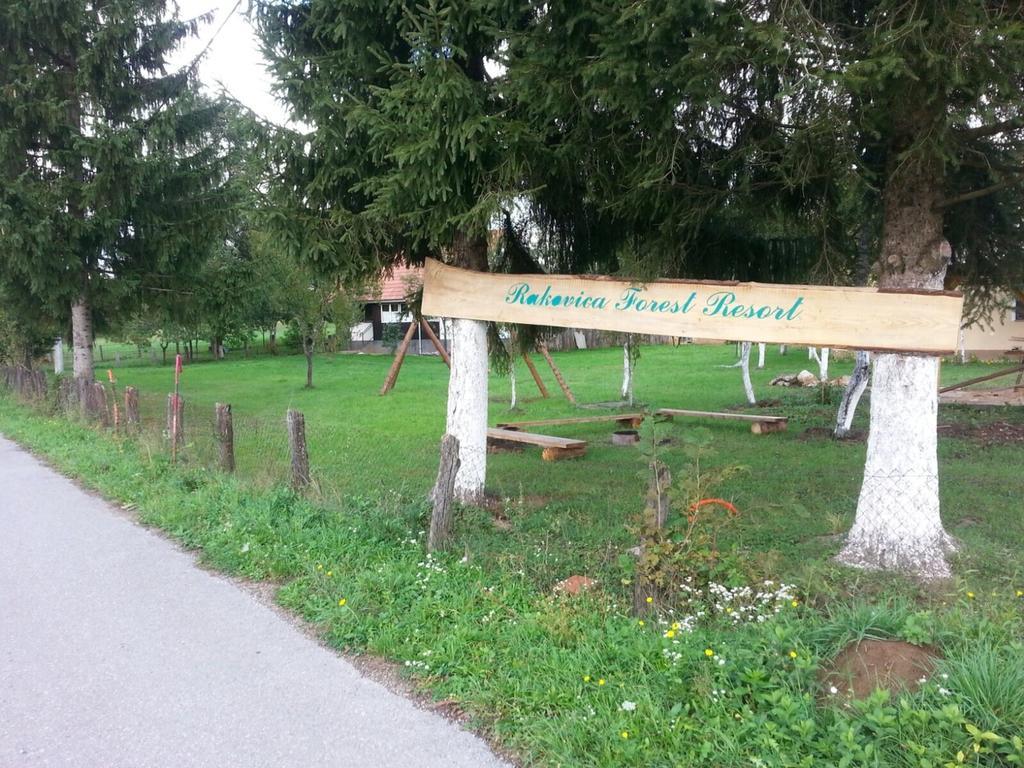 Apartments Eco Forest Resort Rakovica Rum bild