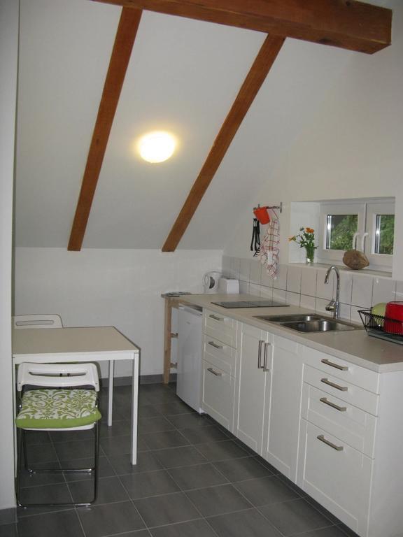 Apartments Eco Forest Resort Rakovica Rum bild