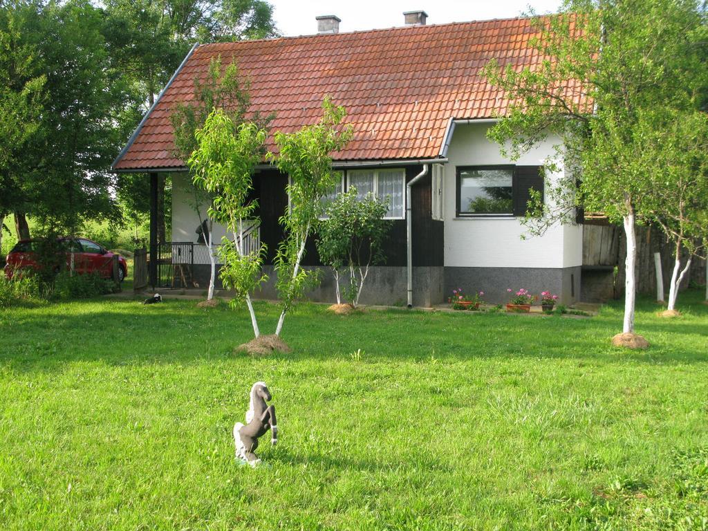 Apartments Eco Forest Resort Rakovica Exteriör bild