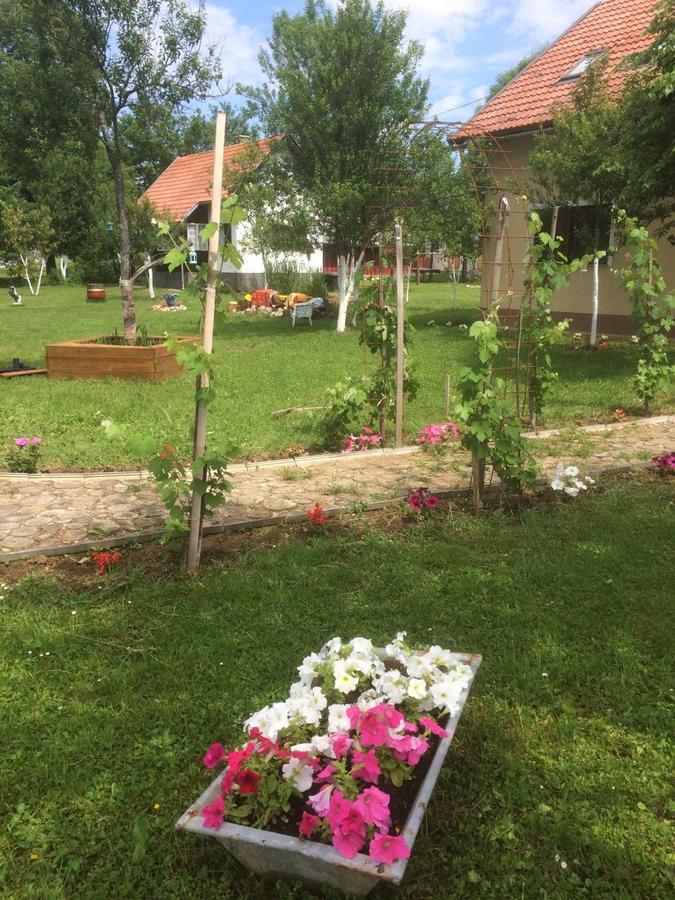 Apartments Eco Forest Resort Rakovica Exteriör bild