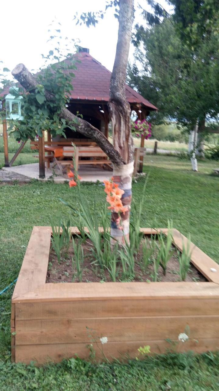 Apartments Eco Forest Resort Rakovica Exteriör bild