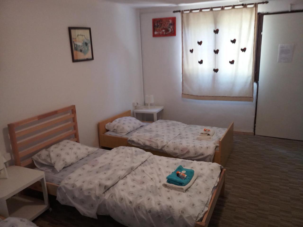 Apartments Eco Forest Resort Rakovica Exteriör bild